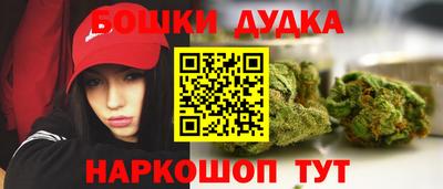 МДПВ Новодвинск