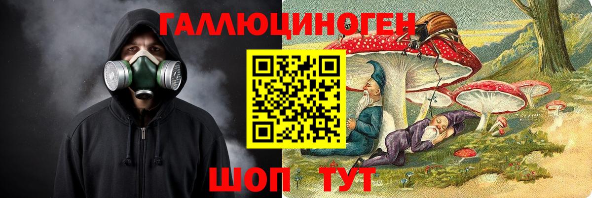 Галлюциногенные грибы Psilocybe Саратов