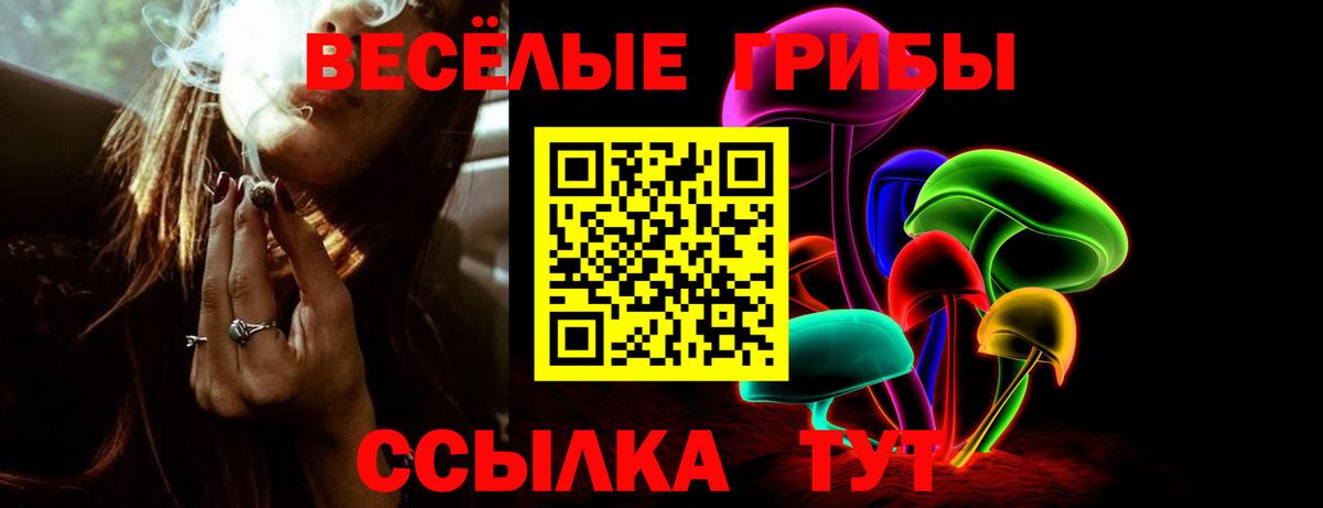 Псилоцибиновые грибы GOLDEN TEACHER  Вход с VPN  Саратов 